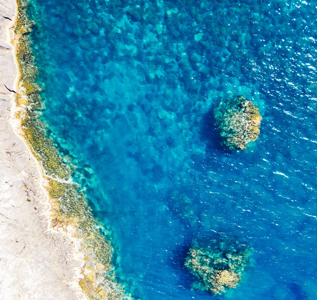 The Mediterranean at the heart of HMPA